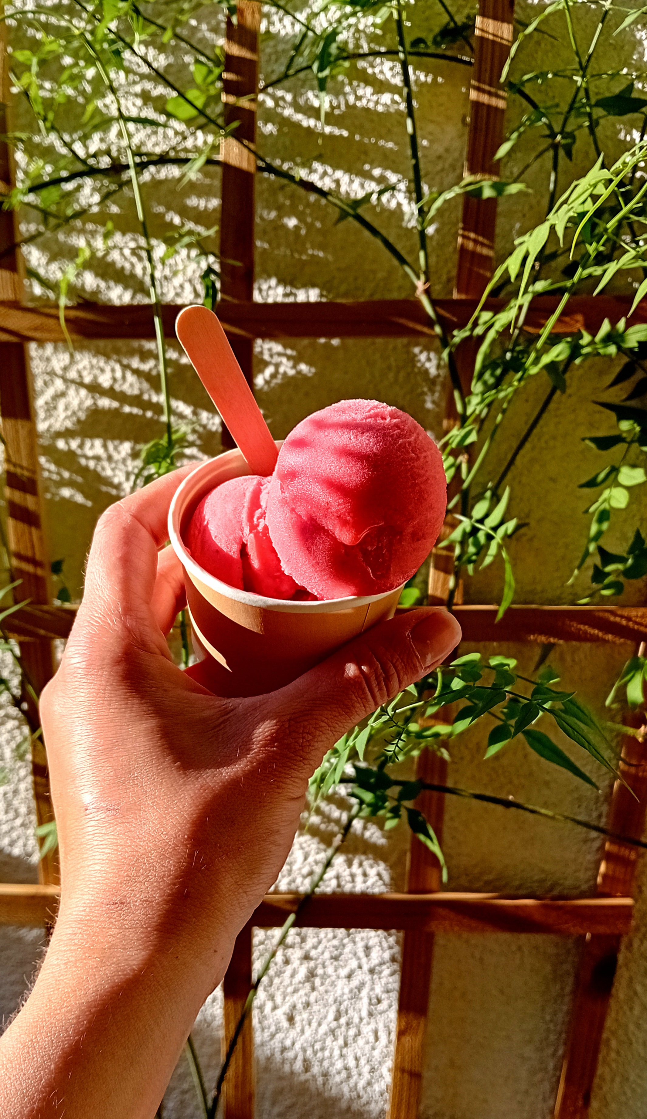 Sherbete - chocolatier confiseur et glacier