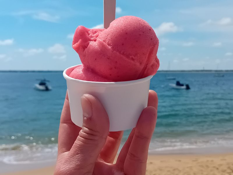 Sherbete - chocolatier confiseur et glacier